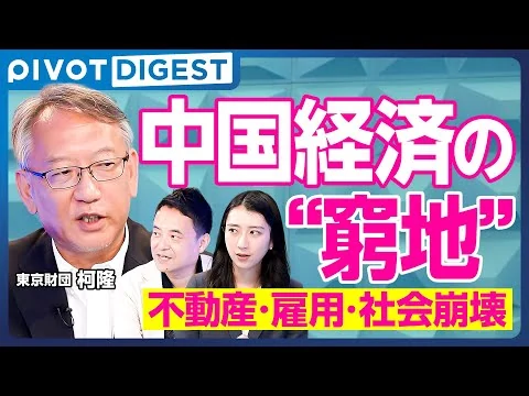 画像  【DIGEST】中国経済の崩壊は本当か？不動産バブル崩壊・年金破綻・若者失業…激動する中国社会の実態を徹底分析