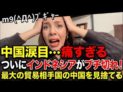 画像 【中国涙目】痛すぎる…インドネシアの不満が頂点に！最大の貿易相手国の中国を見捨てる‼︎