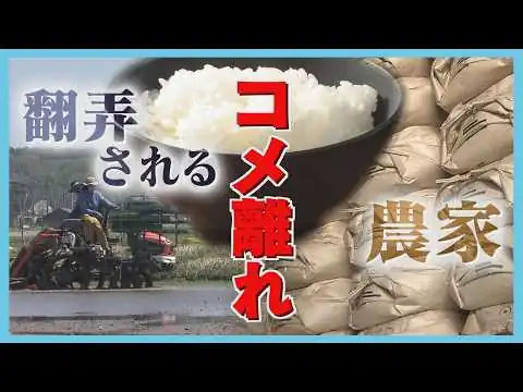 画像 消費者離れに価格下落　先行き不透明のコメ事情…　在庫率は“過去最高”40%　販売競争加速か